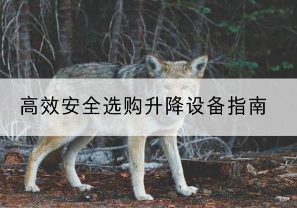 淇滨升降货梯厂家推荐-*安全选购升降设备指南