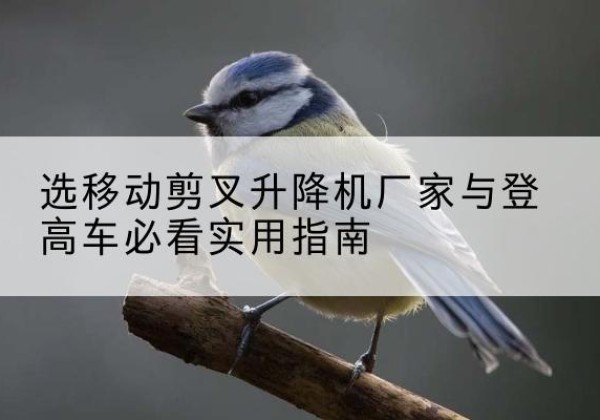 淇滨电动升降机厂家-选移动剪叉升降机厂家与登高车必看实用指南