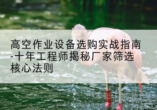 淇滨剪叉式升降机厂家-高空作业设备选购实战指南-十年工程师揭秘厂家筛选核心法则